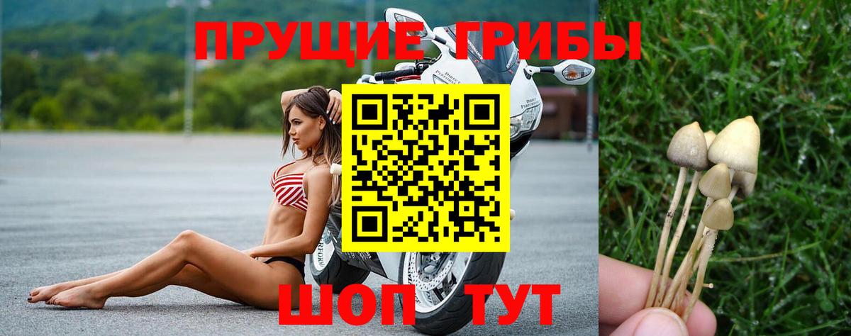 Зеленодольск  Галлюциногенные грибы ЛСД  Вход с VPN 